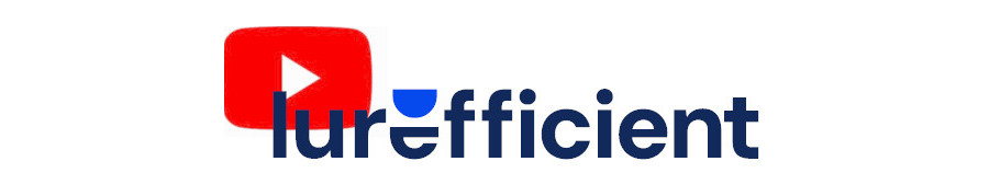 Seguridad en Iurefficient